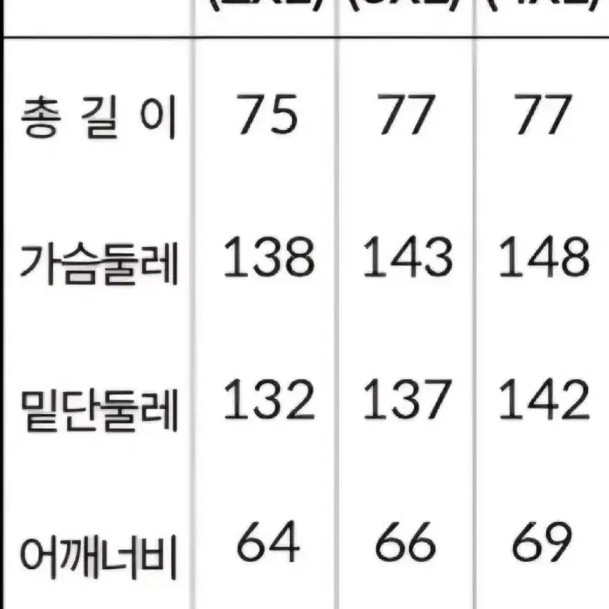 노스페이스 팀코리아 올림픽 선수지급용 레스턴 자켓