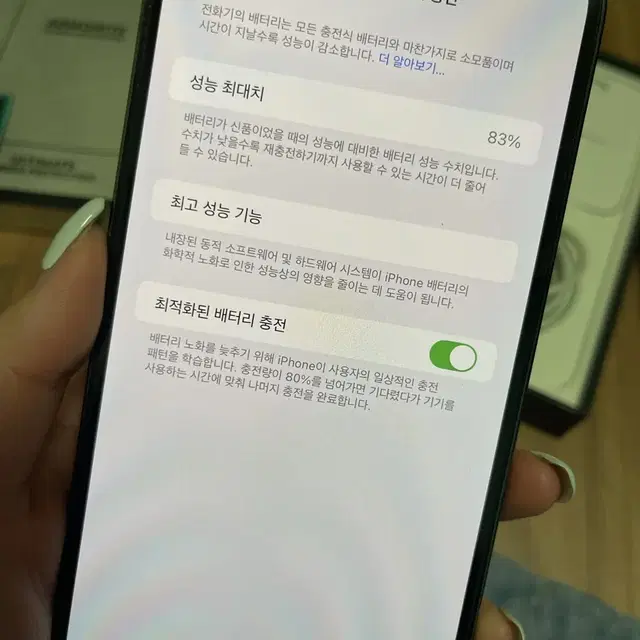 아이폰 13 pro max