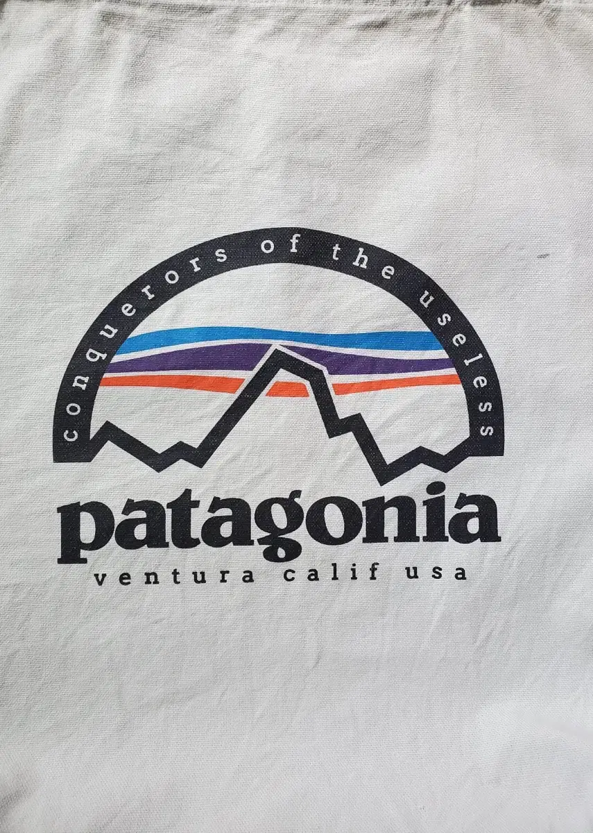 Patagonia EcoBag