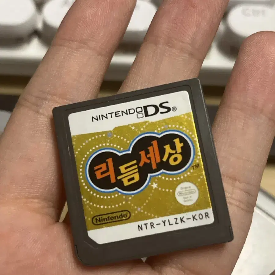 리듬세상 칩 & 닌텐도 ds lite