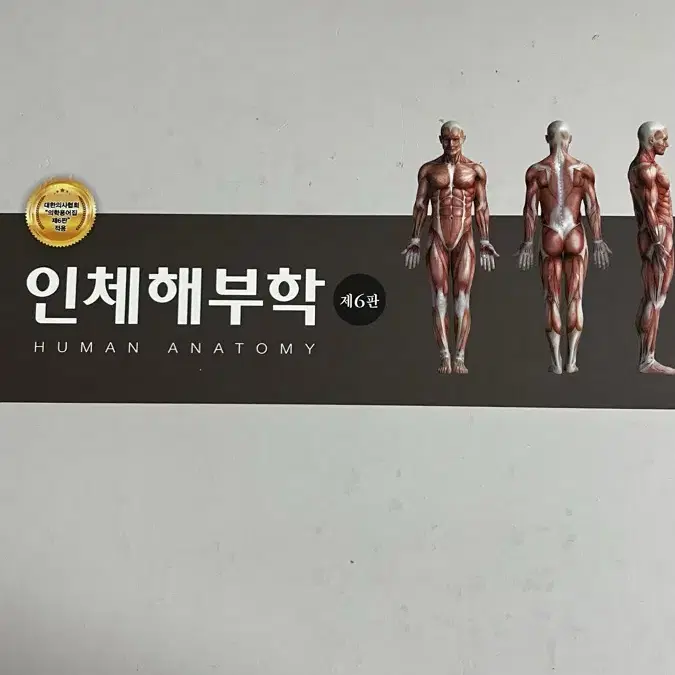 해부학 현문사 제6판