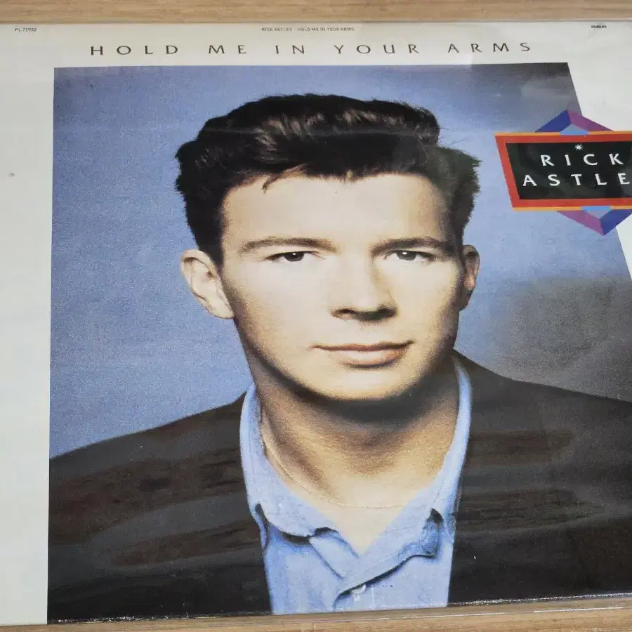 Rick Astley - Hold Me In Your Arms (LP)