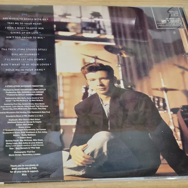 Rick Astley - Hold Me In Your Arms (LP)