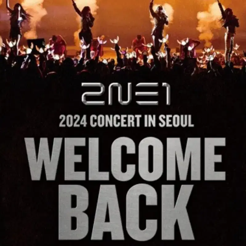 2ne1 콘서트 10.6일 연석 팝니다