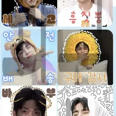 **수요조사** 데이식스 비공굿 도무송