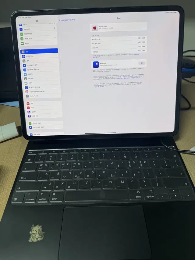아이패드 프로 m4 13인치 256 애케플 매직키보드
