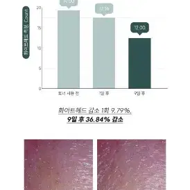 새)닥터트웬티프로젝트 나인 토너 300ml