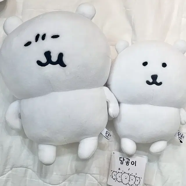 농담곰 담곰이 미간곰 30cm 15cm M사이즈 중형 인형 연도문구