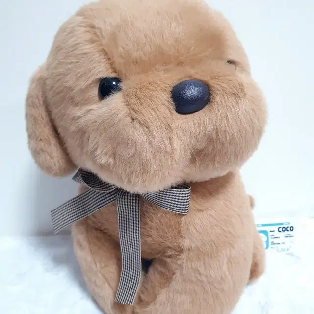 사랑스런 코코 강아지 인형 25cm/새상품