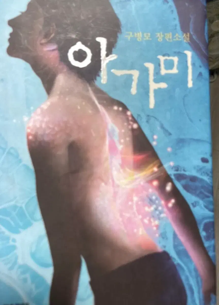 구병모 아가미