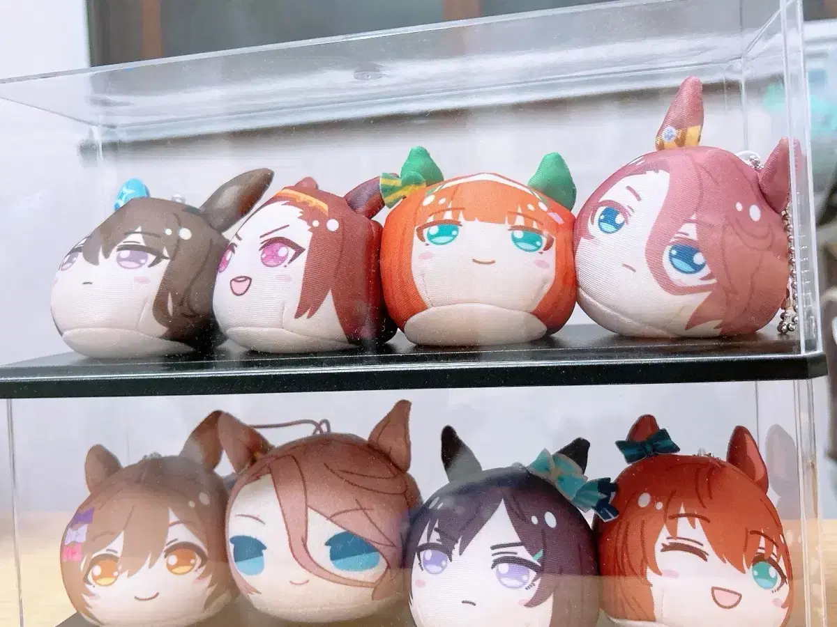 8 umamusume manju in bulk