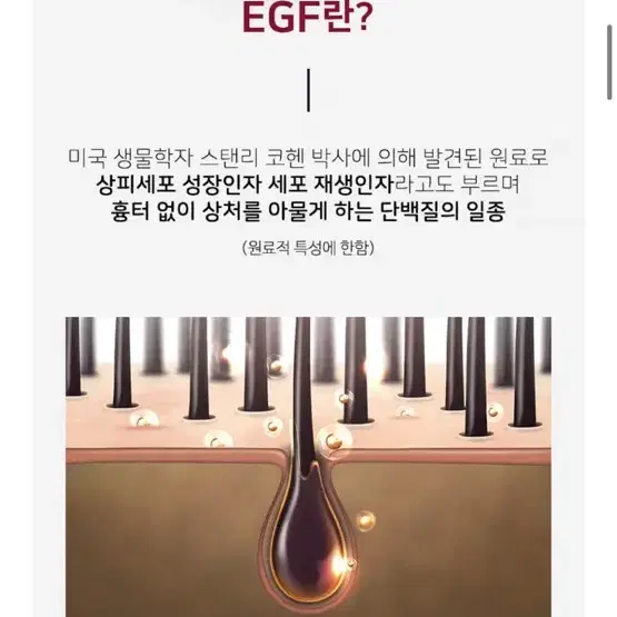 모아만에무나 이지에프 케어 솔루션