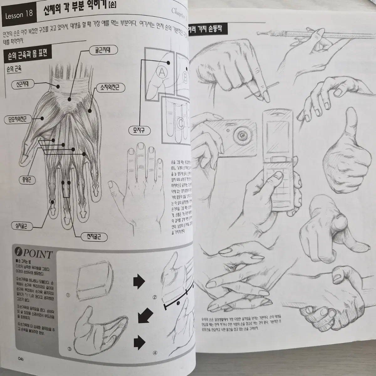 인체 일러스트 책) 만화 캐릭터 데생