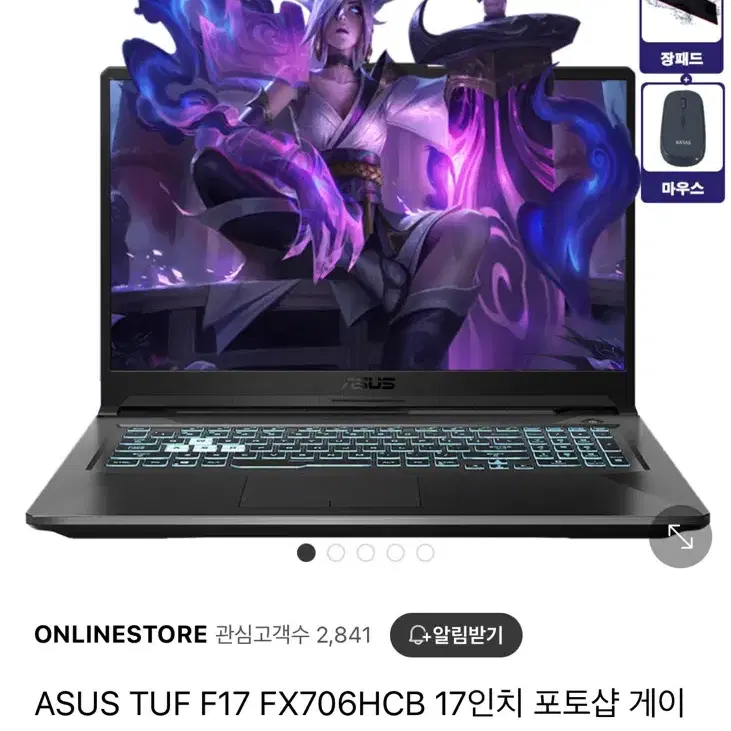 아수스 ASUS TUF F17 FX706HCB 17인치 포토샵 게이밍노트