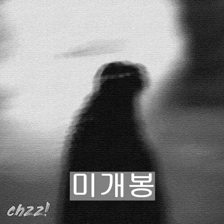 스르륵 (Chzz!) - Room (미개봉, CD)