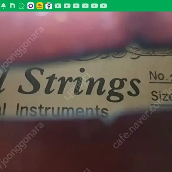 phill strings 바이올린 1/2