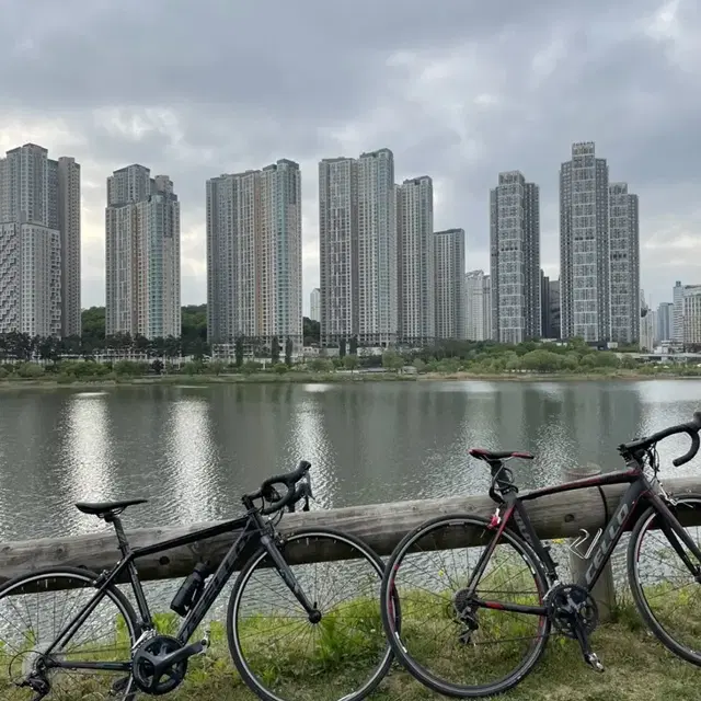 첼로 로드 급처