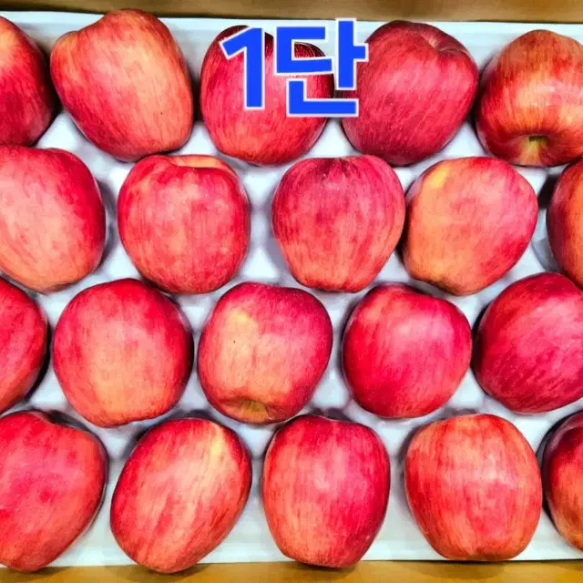 (택포) 충주사과 10kg 40과 품종'홍로'