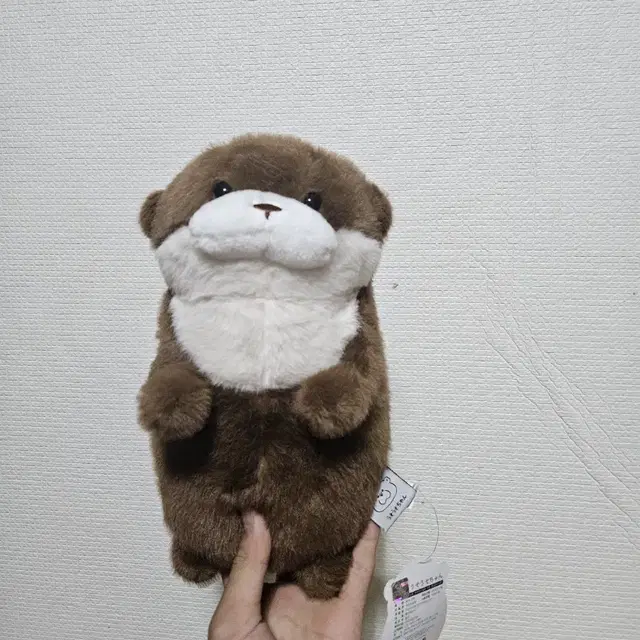 우소우소짱 27cm 인형 [새상품/택있음/정품]