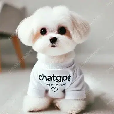 chatgpt 4o 팀플랜