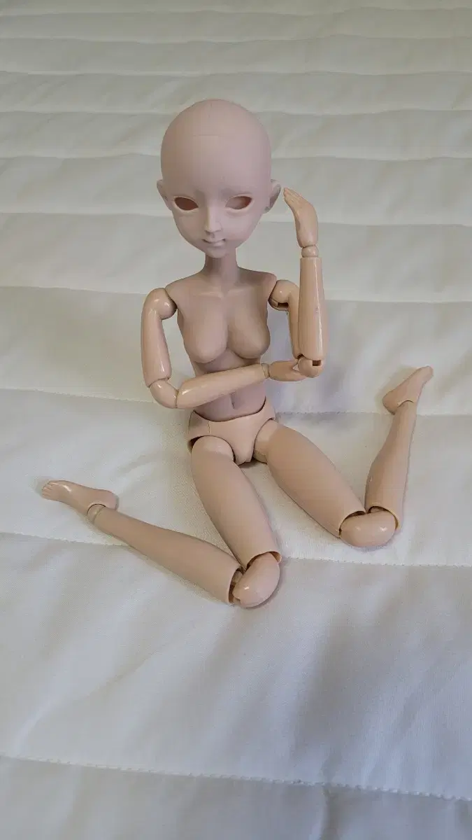 1/6 articulated doll for customization (2 heads)