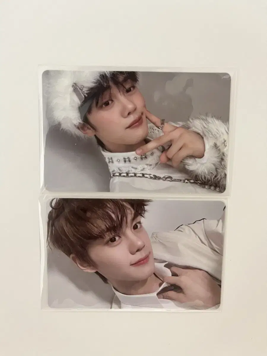 Meltingpoint Gubin photocard in bulk