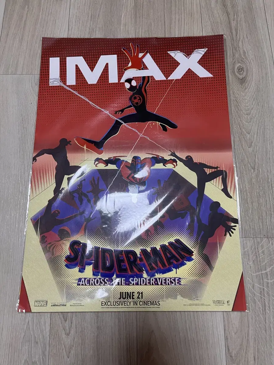 Spider-Man Across the Universe Imax Poster