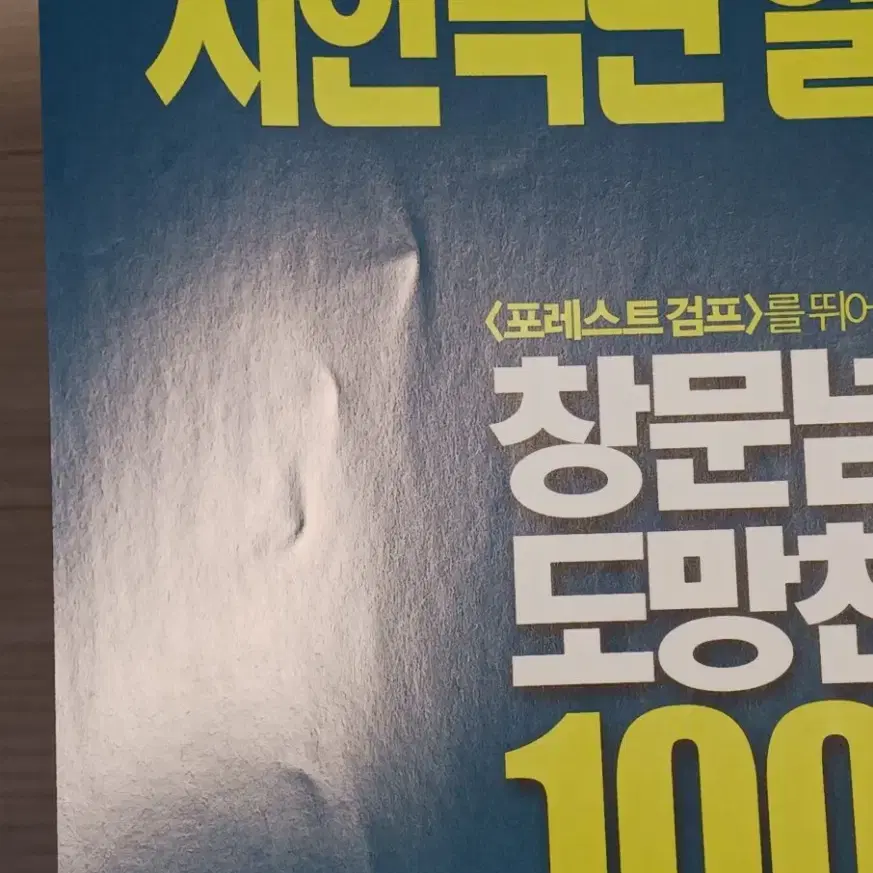 로버트구스타프슨 창문넘어도망친100세노인(2014년)전단지