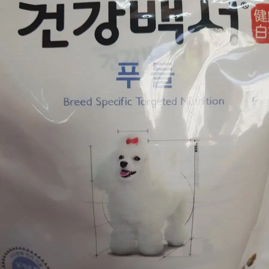 건강백서푸들 2kg 무료배송