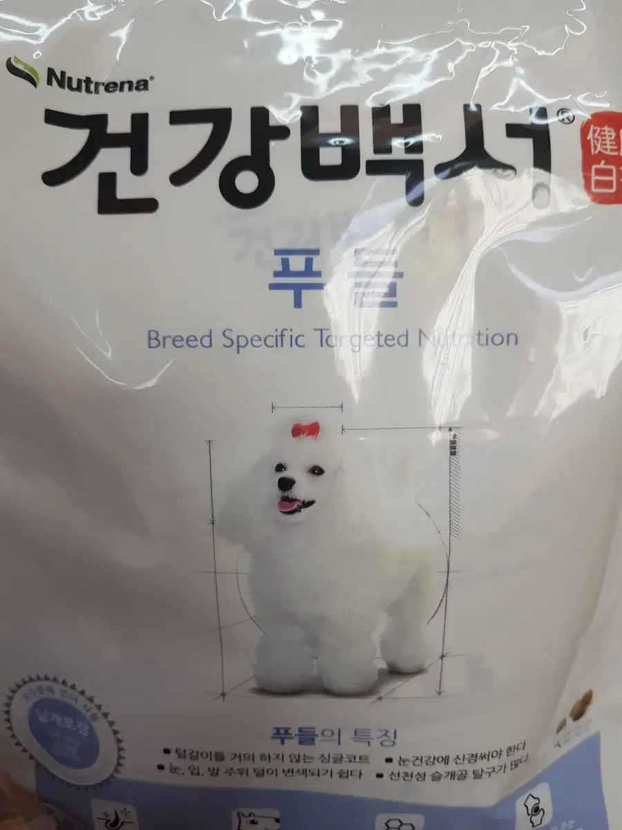 건강백서푸들 2kg 무료배송