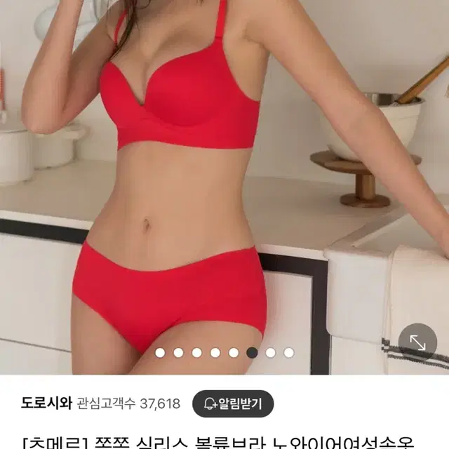 도로시와 브라 세재품