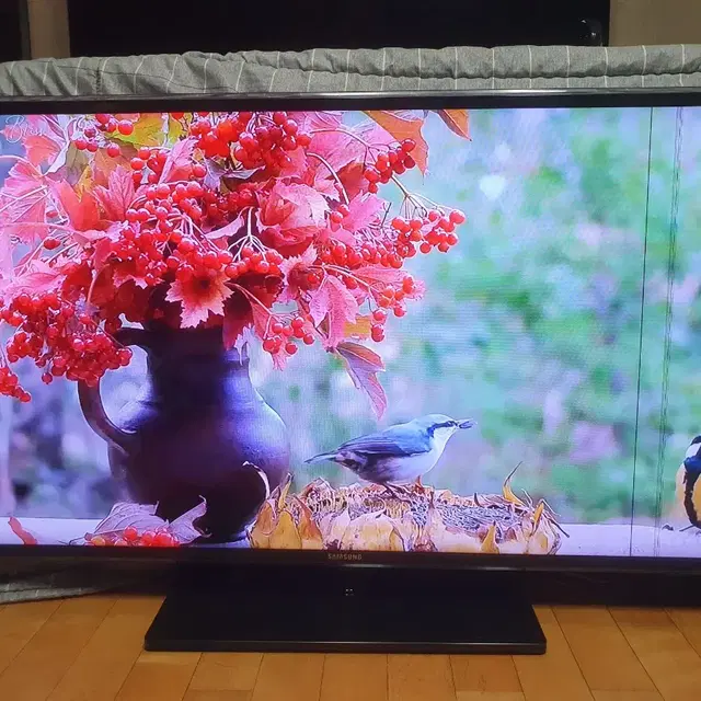 삼성 46인치 티비 모니터 LED TV 양천구