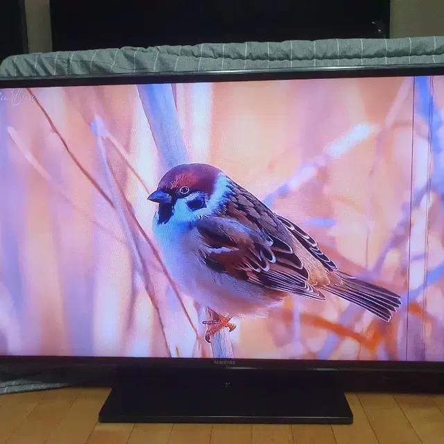 삼성 46인치 티비 모니터 LED TV 양천구