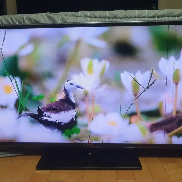 삼성 46인치 티비 모니터 LED TV 양천구