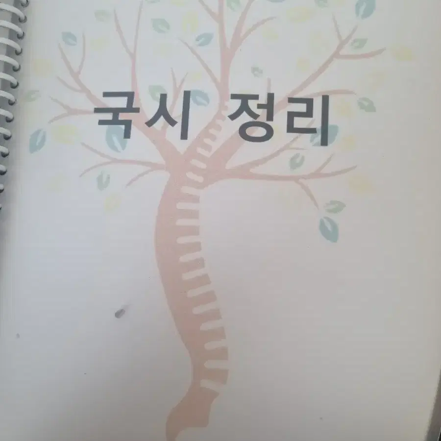 물리치료 국시 요약집