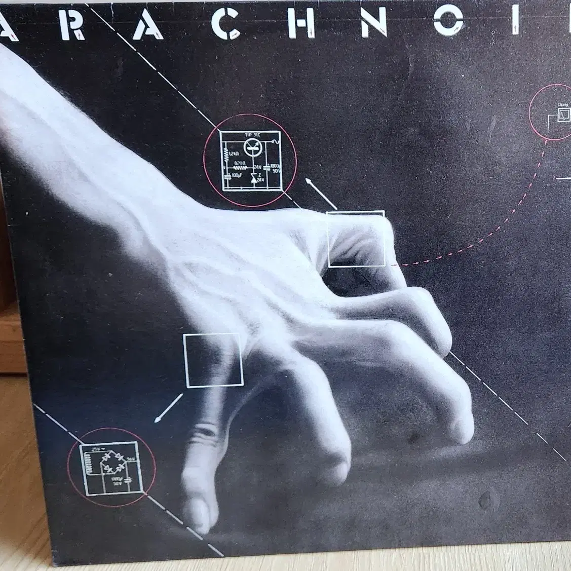 ARACHNOID - ARACHNOID, 시완LP