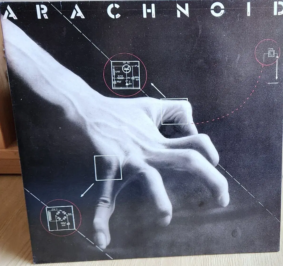 ARACHNOID - ARACHNOID, 시완LP