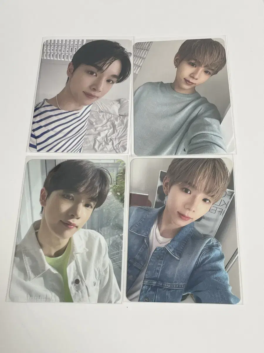 Rize sungchan shotaro bulk round-around photocards