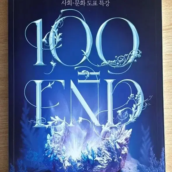 대성마이맥 임정환 100 = END (도표특강)