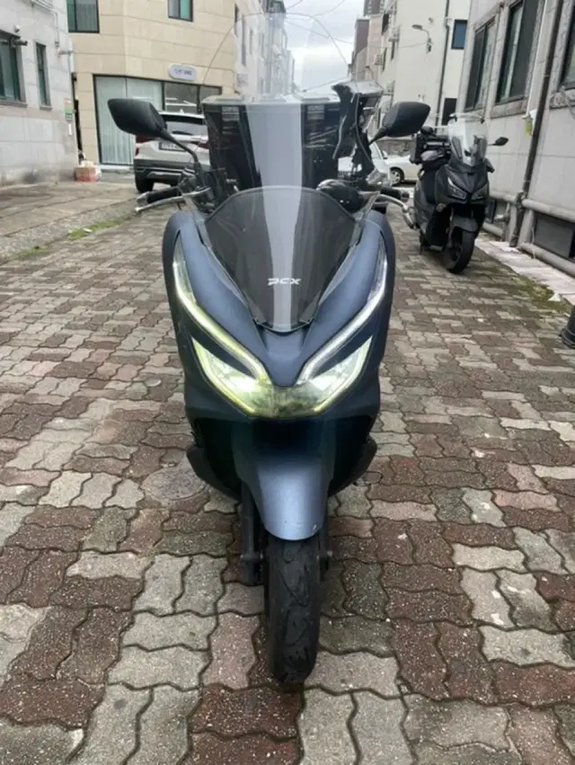 혼다 Pcx 125cc 19년식 급처합니다