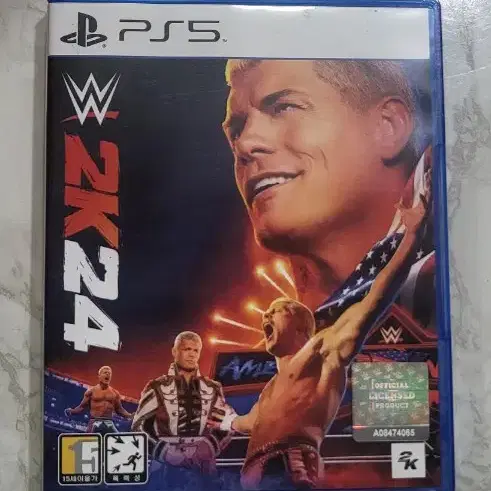 wwe2k24 한국판 코드 사용