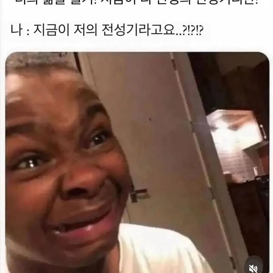 노스카나겔 구해봅니당