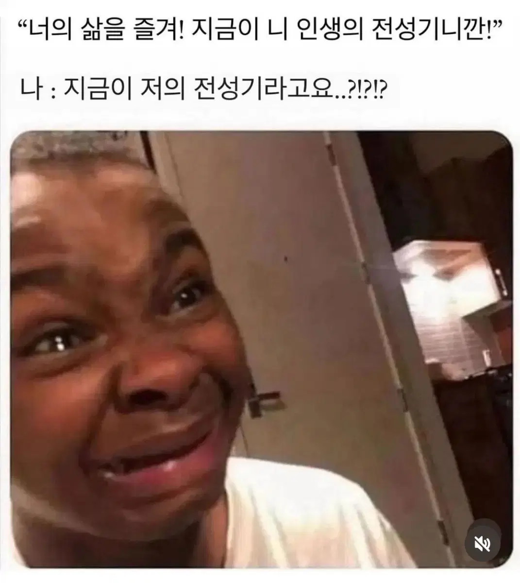 노스카나겔 구해봅니당