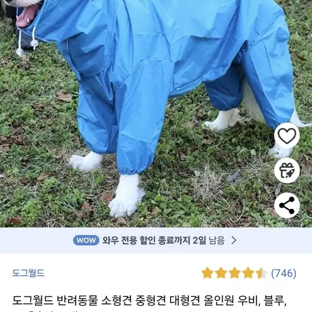 새상품 강아지 애견 우비 M