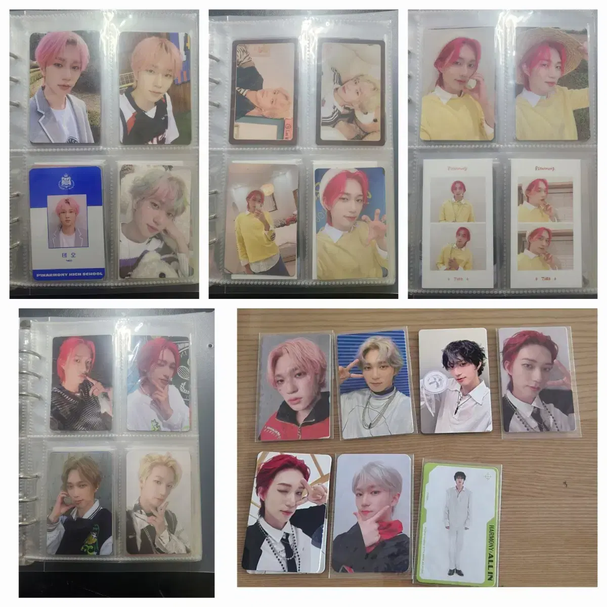 P1harmony teo bulk photocards