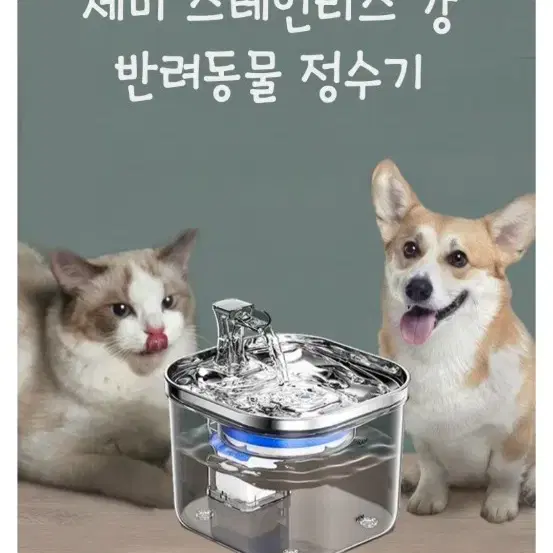 bornoon 애완동물 급수기 새상품