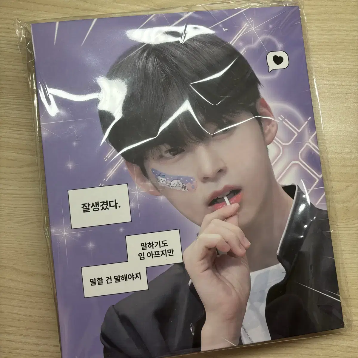 [NEW] Half-priced Delivery! zb1 sung hanbin photocard Binder