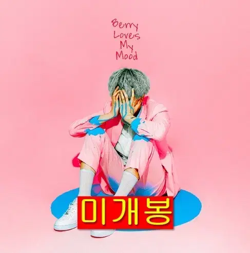 스키니브라운 - Berry Loves My Mood (미개봉, CD)