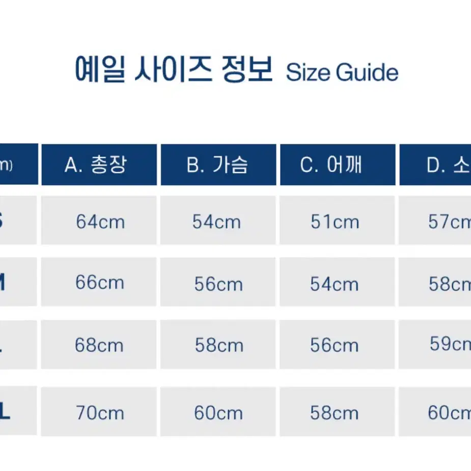 예일 크루넥니트 아이보리 S