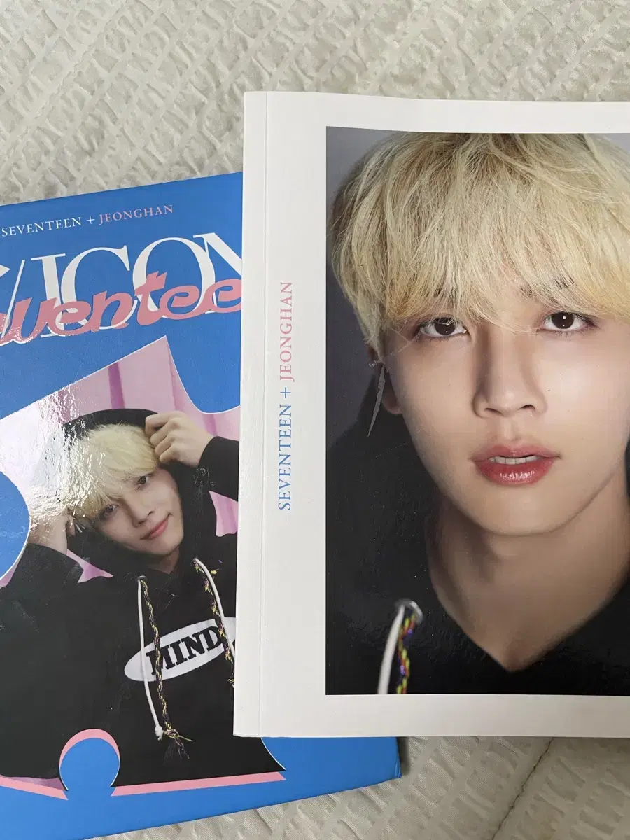 Seventeen jeonghan diicon binder & photobook